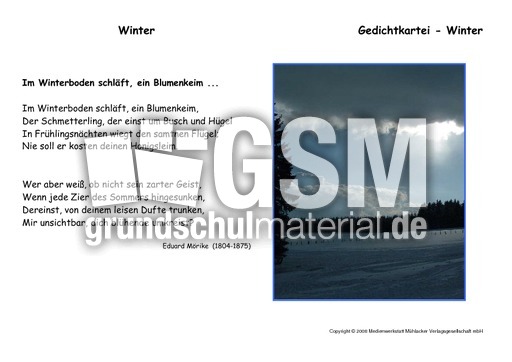 Winterboden-Blumenkeim-Moerike.pdf
